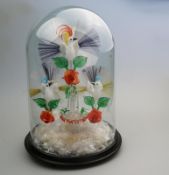 A rare & Fine Nailsea / Stourbridge glass Bird Fountain Frigger under dome C.19thC