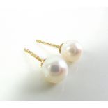 9K Gold South Sea Cultured Pearl Earrings