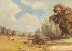 Unsigned oil painting depicting cattle grazing on a summers day
