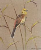 Ralston Gudgeon signed watercolour on linen "Yellowhammer"