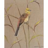 Ralston Gudgeon signed watercolour on linen "Yellowhammer"