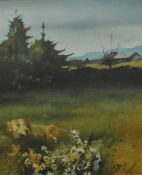 Mike Forbes Scottish Artist Born 1963 signed watercolour Dog in a meadow