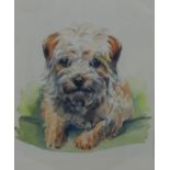 Original Unsigned Watercolour Dog Portrait