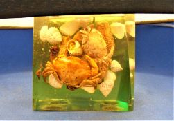 Lucite Lamp Mid Mid 20th Rock pool Crabs Sea Shells Green Hue Hand Made In Cornwall