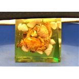 Lucite Lamp Mid Mid 20th Rock pool Crabs Sea Shells Green Hue Hand Made In Cornwall