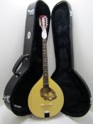 Blue Moon BB-15 Irish Bouzouki. In Hard Case.