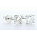 14 kt. White gold - Earrings - 1.00 ct Diamond - Diamonds