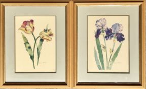 ANNABEL FAIRFAX Signed, Pair of Floral Watercolours