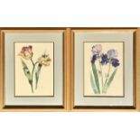 ANNABEL FAIRFAX Signed, Pair of Floral Watercolours