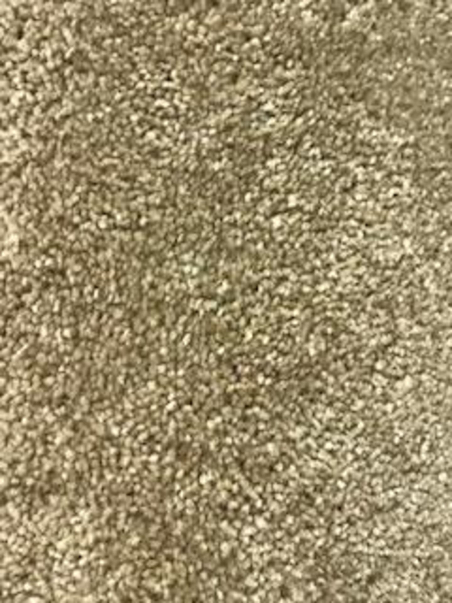 7m x 4m carpet light beige - Image 2 of 4