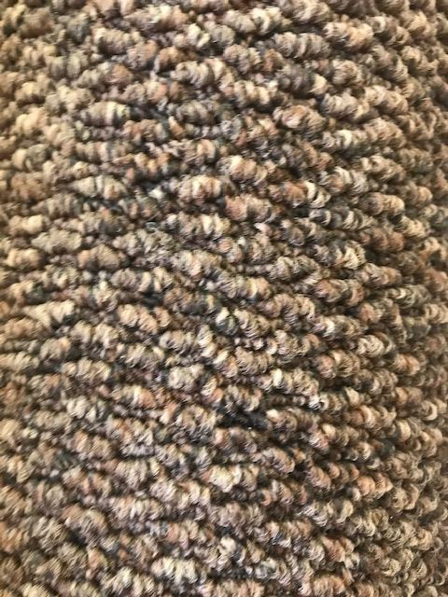 2.2m x 4m regatta twist brown carpet