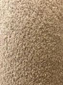 Beige soft carpet 4.26m x 4m