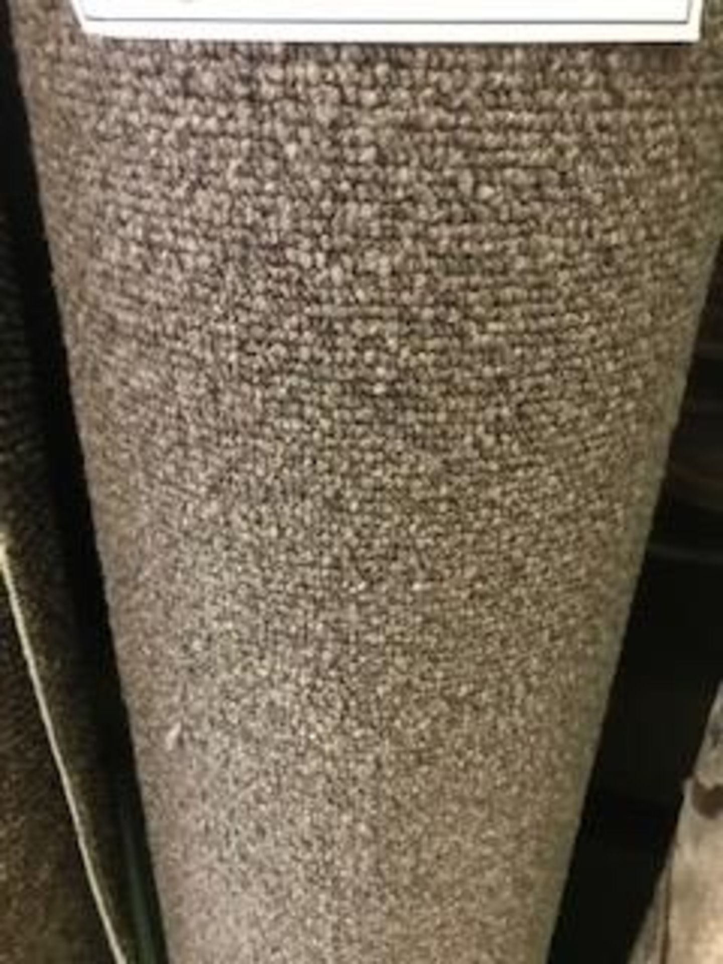 Heavy duty beige carpet 4.4m x 4m