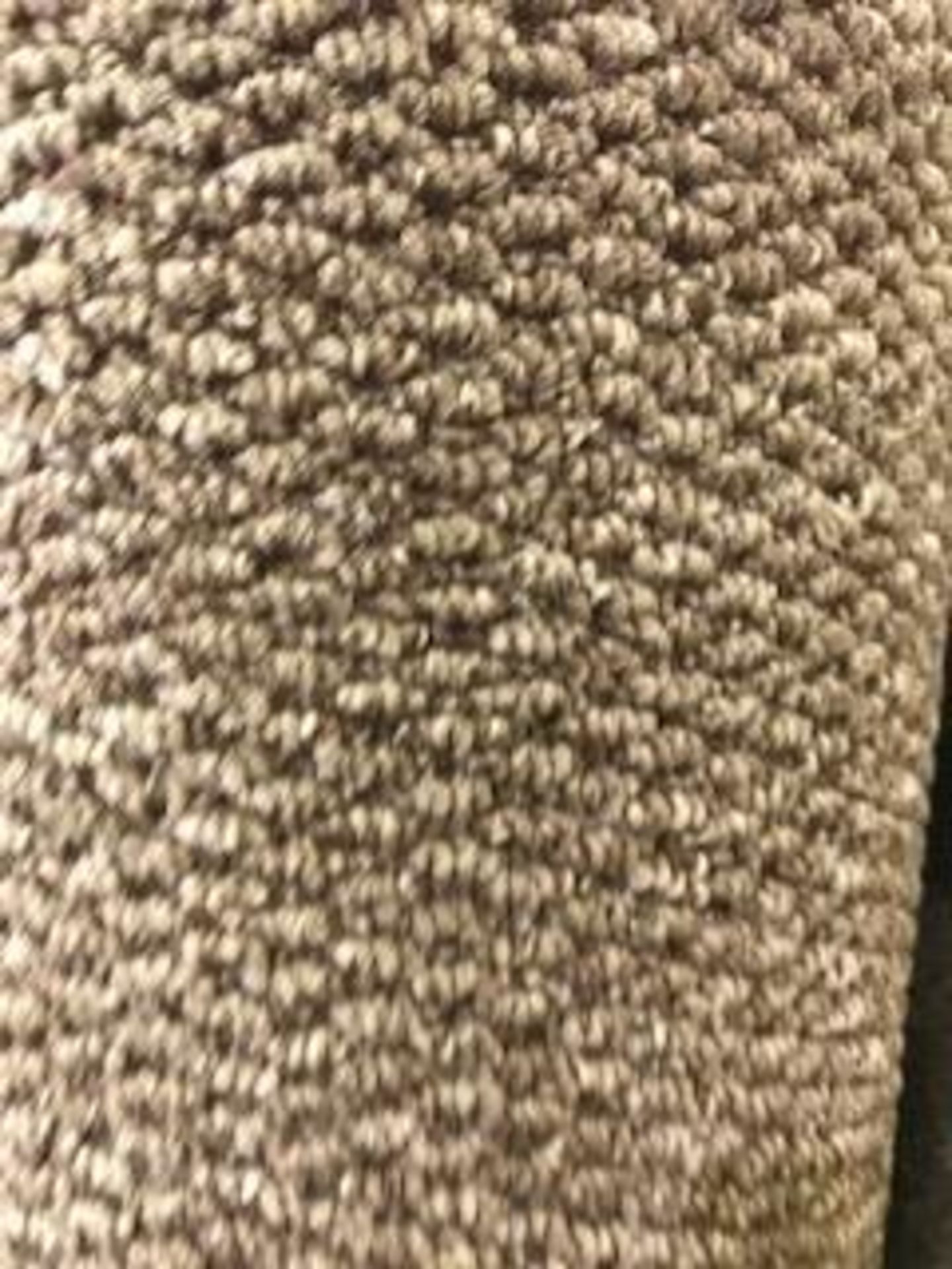 Regatta brown heavy duty carpet 5m x 4m