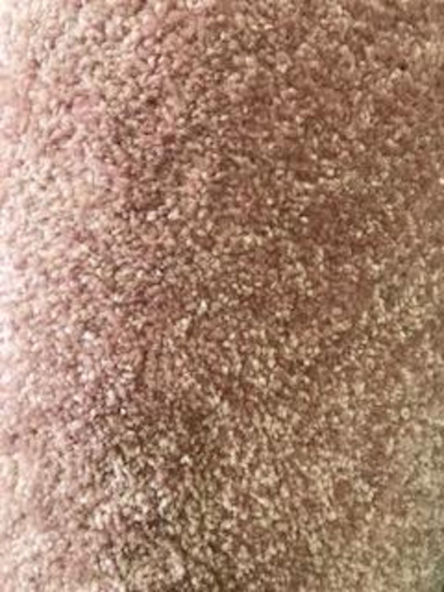 Firth twist dusty pink carpet 5.7m x 4m