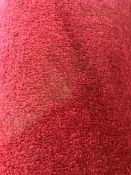 Red carpet 7m x 4m