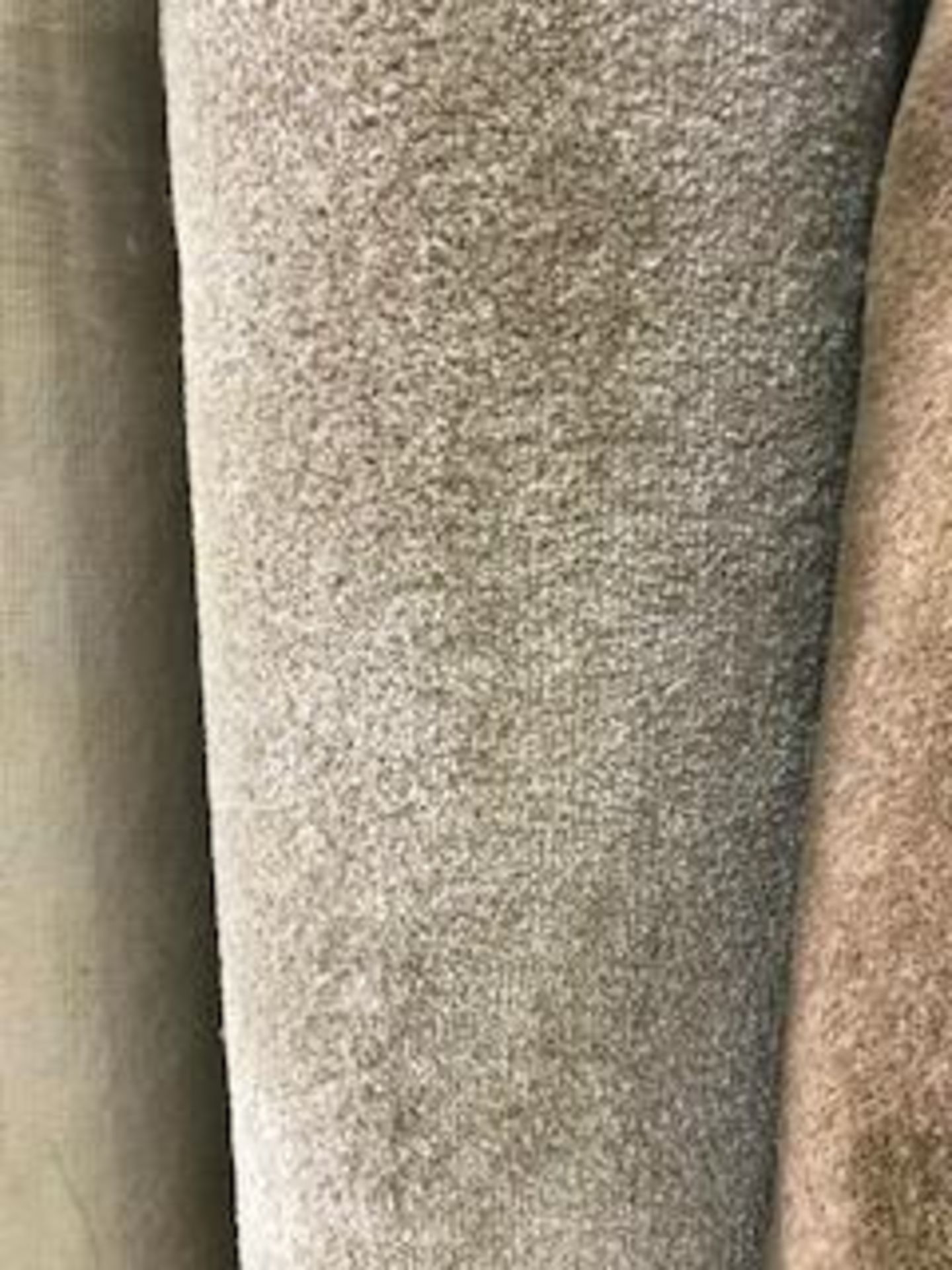 Legendary beige carpet 6.5m x 4m