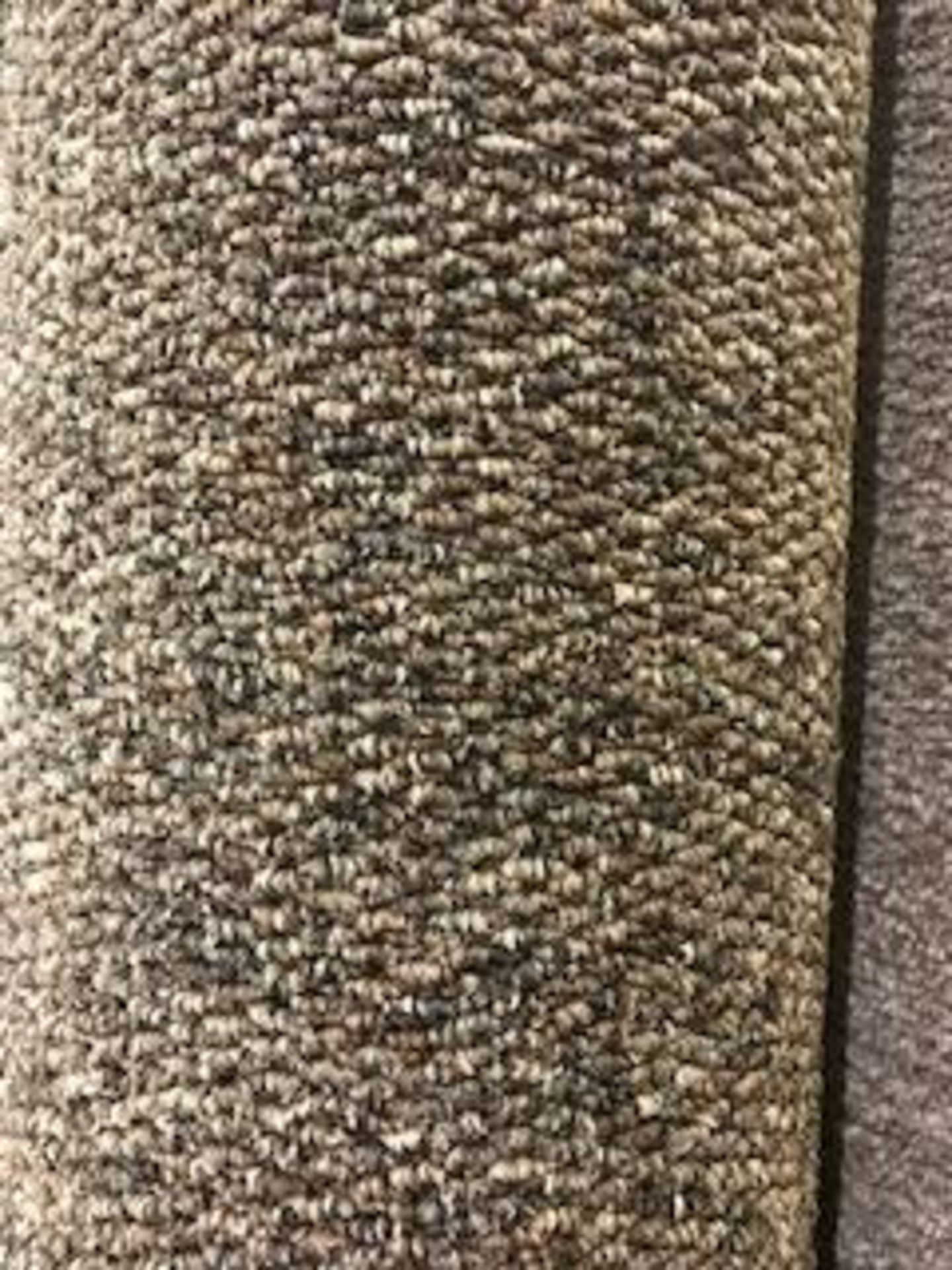 Heavy duty pebble brown carpet 5m x 4m
