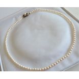 Vintage Single Strand Pearl Necklace