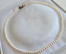 Vintage Single Strand Pearl Necklace