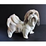 Lladró Porcelain Dog - Shih Tzu Standing