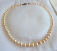 Vintage Pearl Necklace Silver Clasp