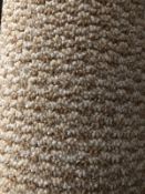 Dakar Multi Beige 5.4M X 4M (17Ft X13Ft) Polypropylene Loopcontract Feltback