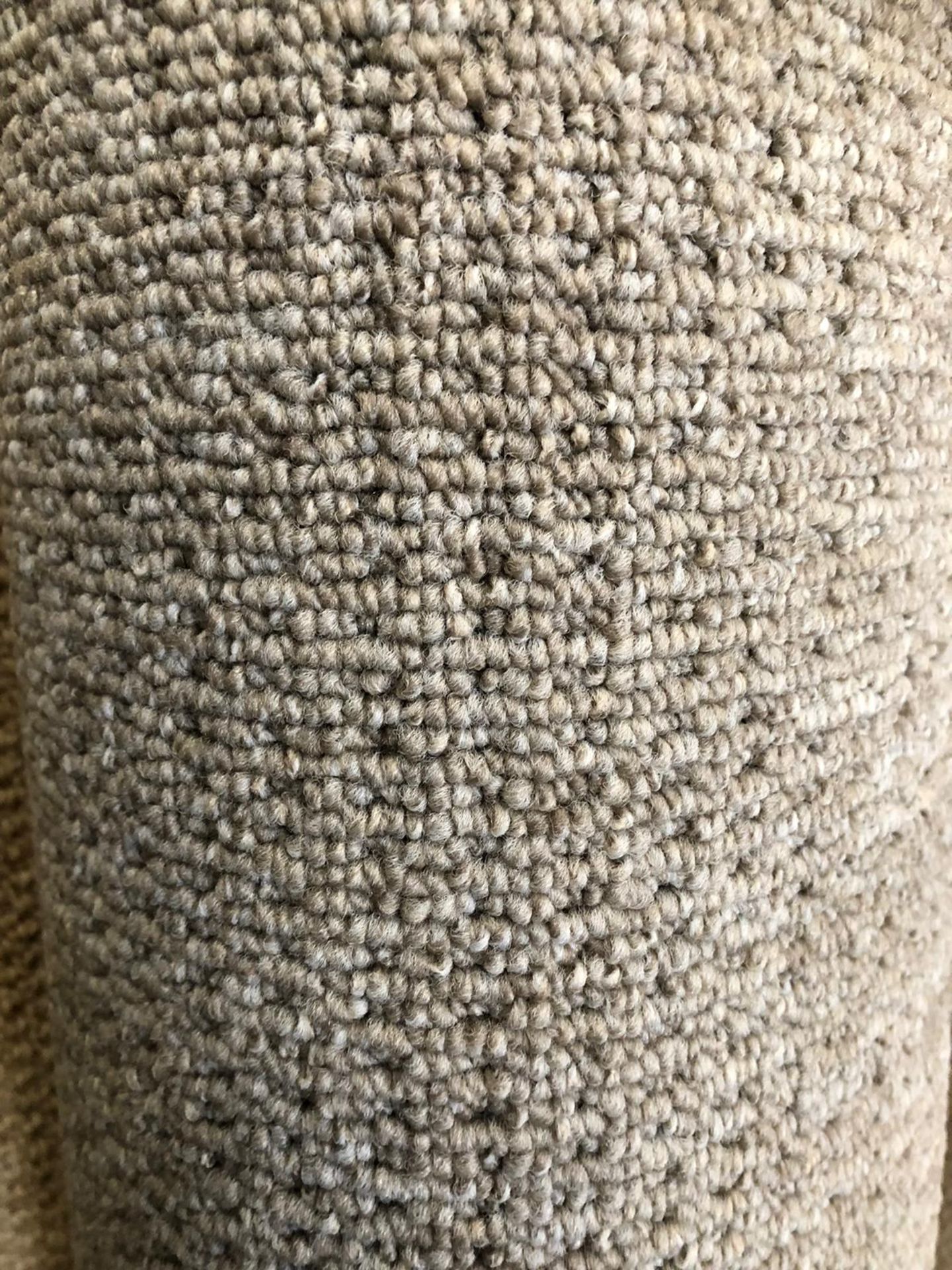 Seattle Beige 4M X 4M (13Ftx13Ft) Polypropylene Loopcontract Feltback