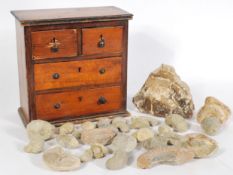 C19th collectors miniature chest of fossils