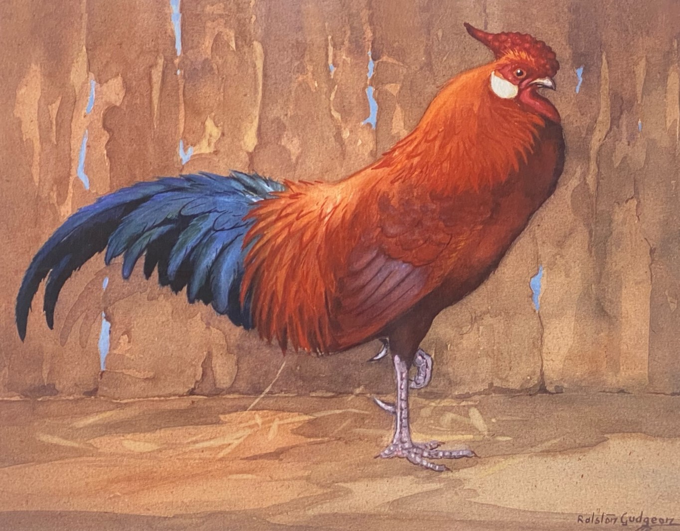 Limited edition Ralston Gudgeon Print "Red Rooster"