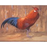 Limited edition Ralston Gudgeon Print "Red Rooster"