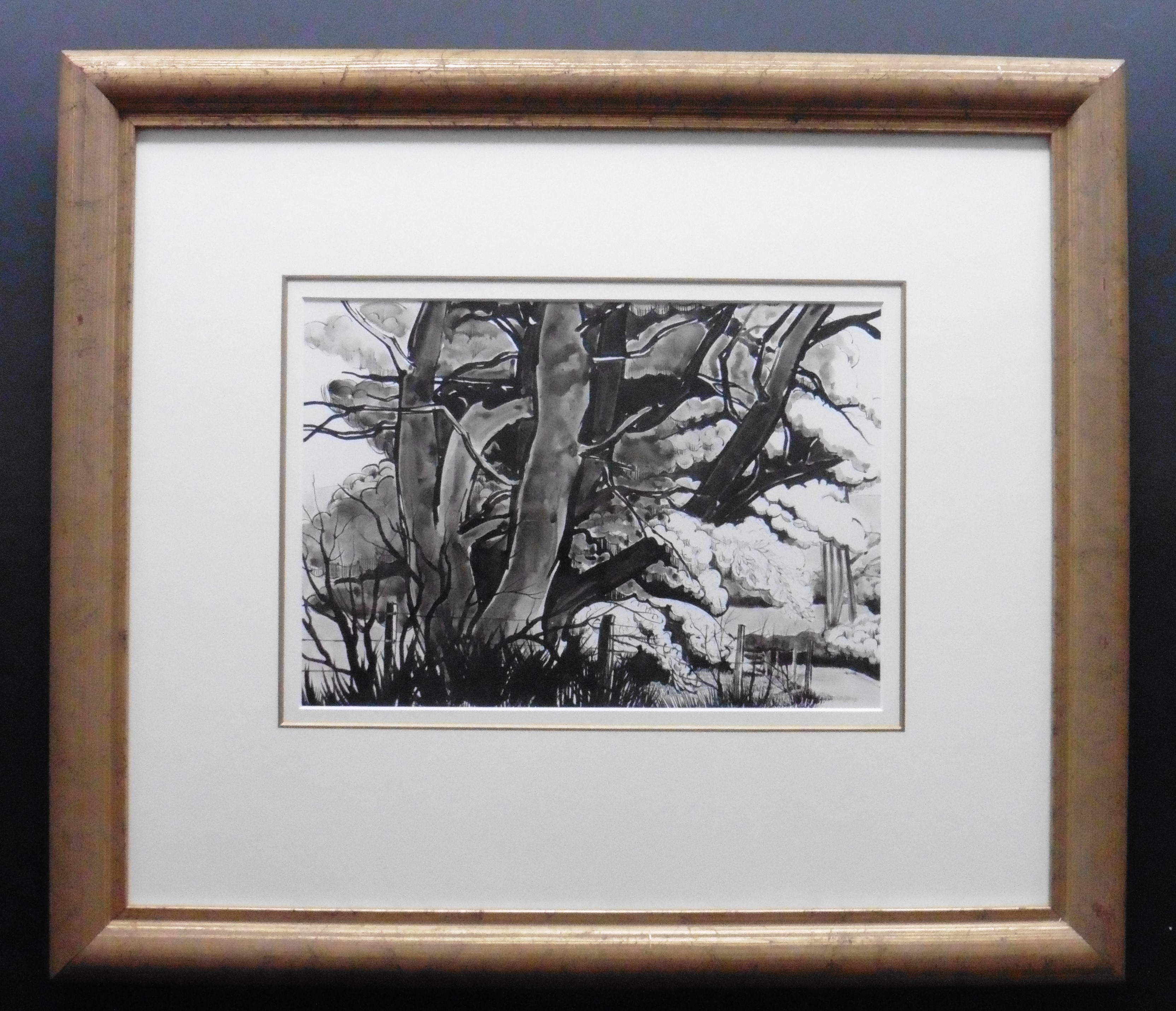 Joyce M Young Scottish Pen and Ink The old Oak - Image 2 of 5