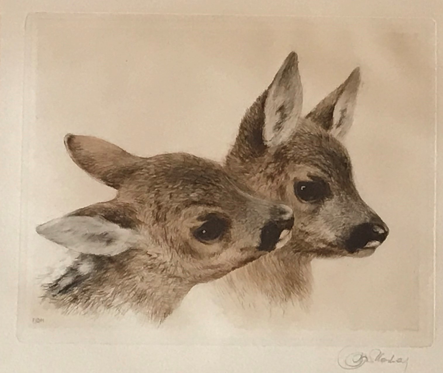 Kurt Meyer-Eberhardt (1895 – 1977 ) Signed etching "Fawns"