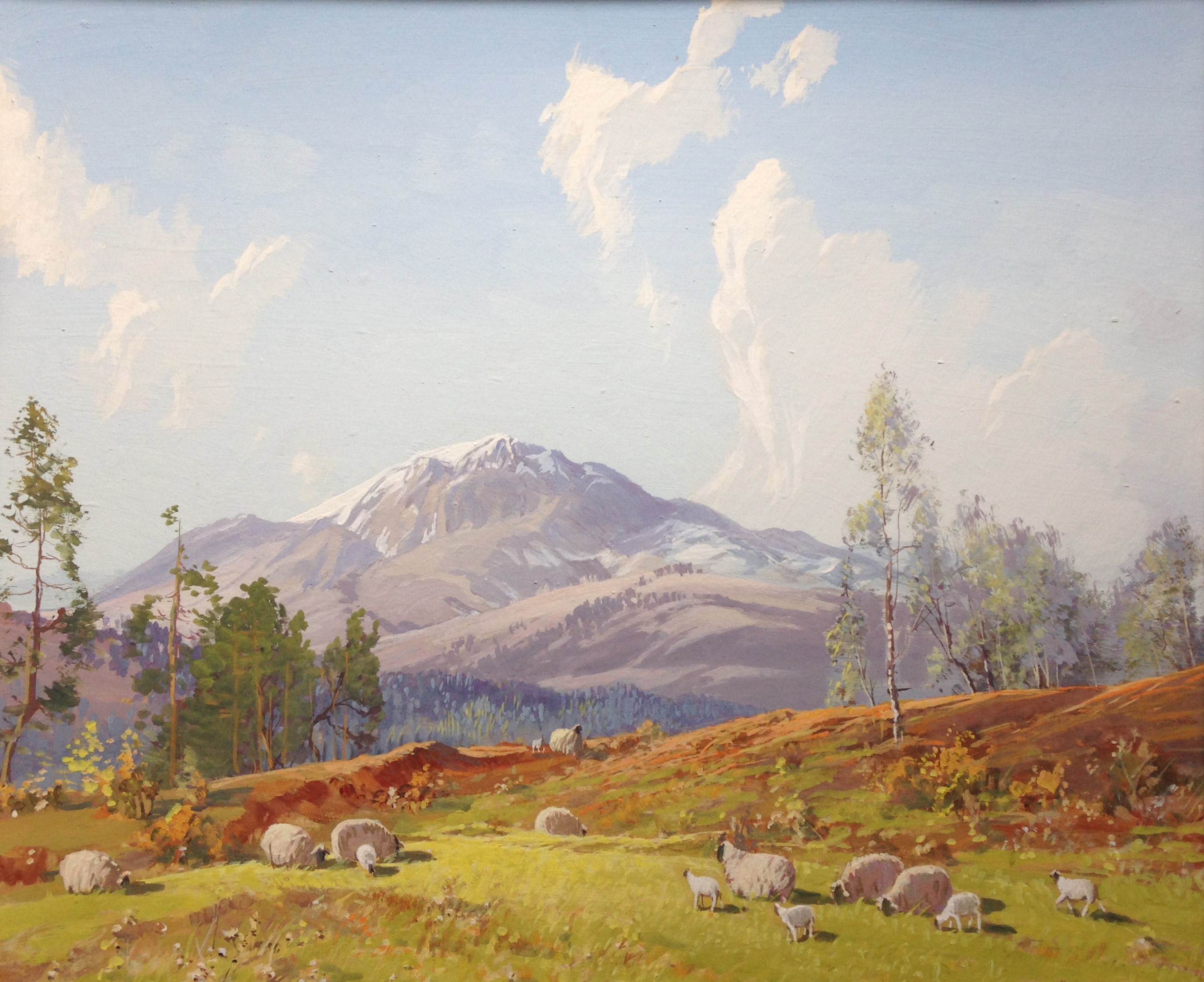 Tom Campbell 1865-1943 signed oil on canvas, Springtime Scotland