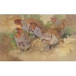 Large Signed watercolour by Scottish artist Ralston Gudgeon RSW depicting a covey of Partridge