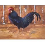 Limited edition Ralston Gudgeon Print "Black cockerel" 2/25