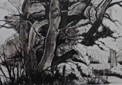 Joyce M Young Scottish Pen and Ink The old Oak