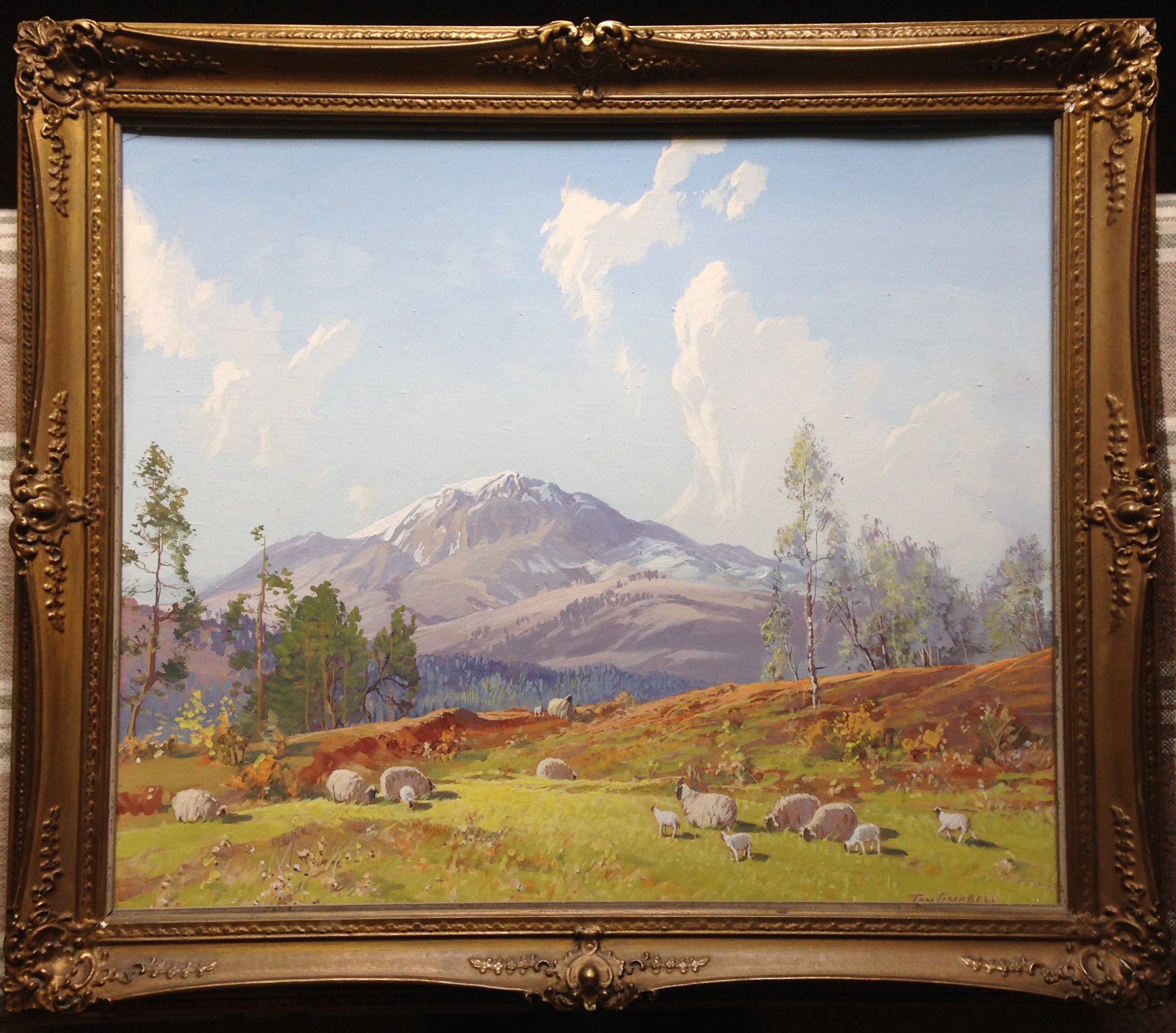 Tom Campbell 1865-1943 signed oil on canvas, Springtime Scotland - Image 2 of 3