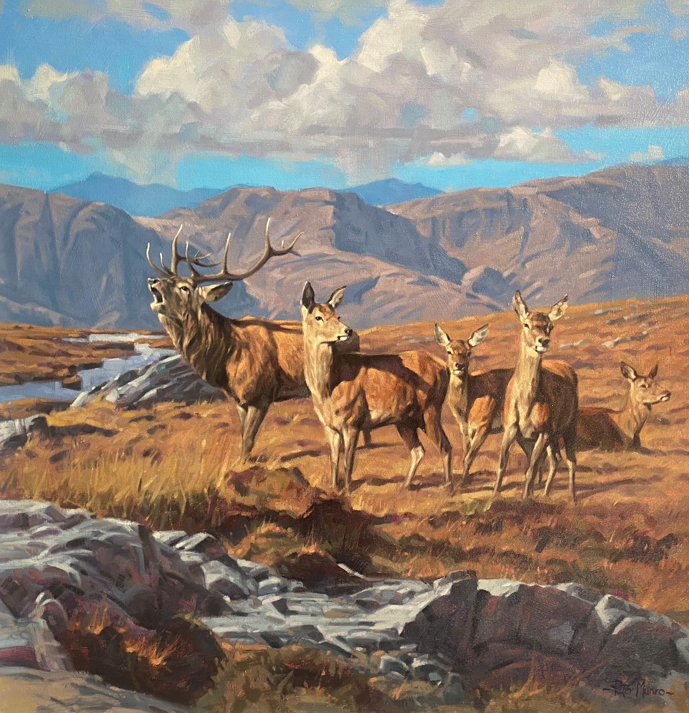 Large signed oil painting by Scottish Contemporary artist Peter Munro “Red Deer”