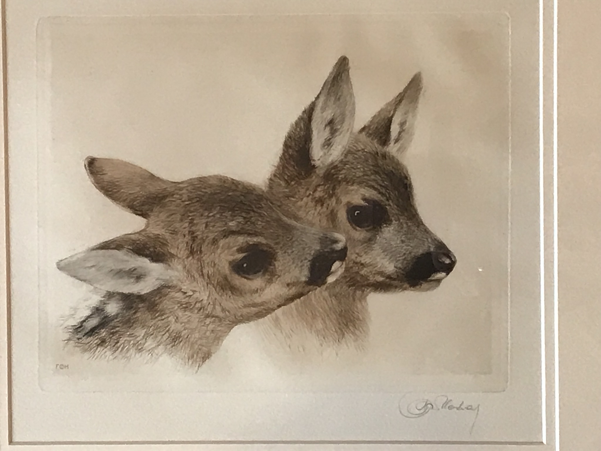 Kurt Meyer-Eberhardt (1895 – 1977 ) Signed etching "Fawns" - Image 3 of 3