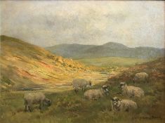 Signed John Murray Thomson 1885-1974 R.S.A, R.S.W, P.S.S.A Sheep on hillside grazing