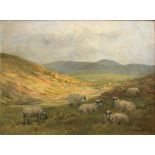 Signed John Murray Thomson 1885-1974 R.S.A, R.S.W, P.S.S.A Sheep on hillside grazing