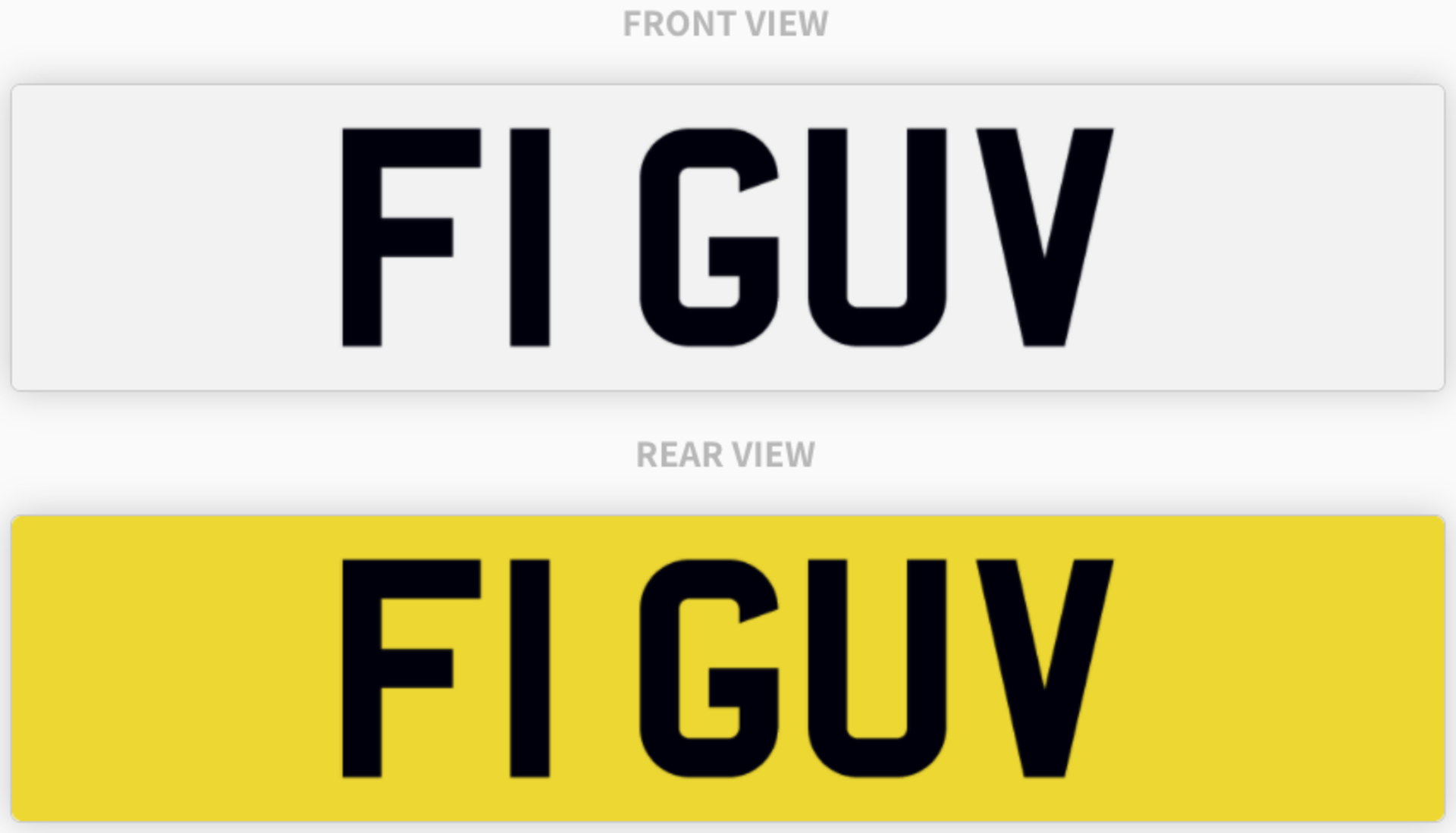 F1 GUV , number plate on retention