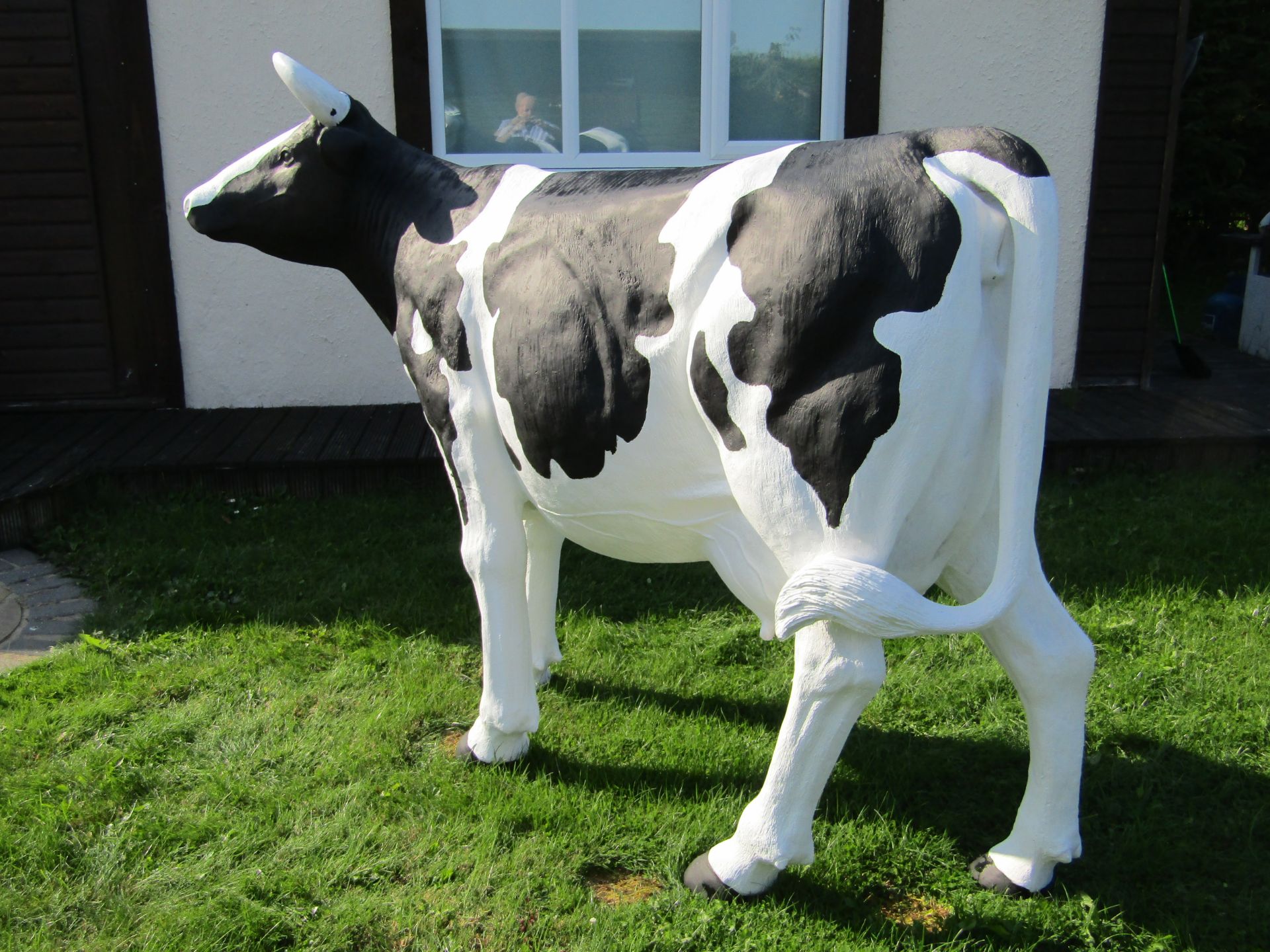 Pat the Cow. Life size model. - Image 5 of 6