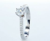 18 Kt. White Gold - Ring - 0.62 Ct Diamond - Diamonds