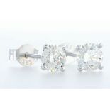 14 Kt. White Gold - Earrings - 1.00 Ct Diamond - Diamonds