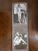 Edwardian Nude Or Semi Nude Ladies In An Album ( 16 )