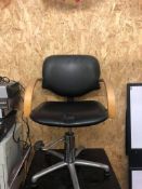 Salon Chair