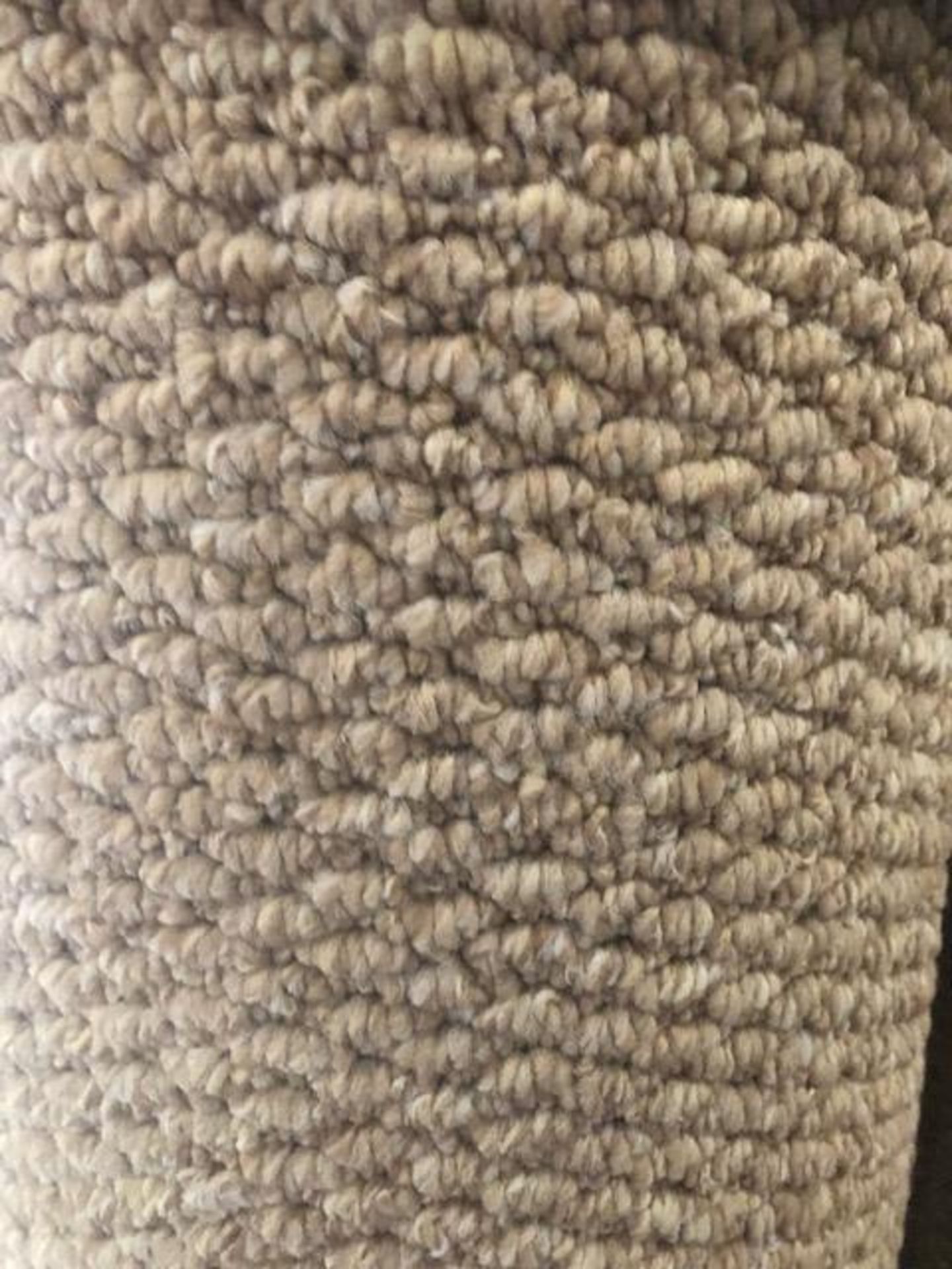 Pasha Light Beige 6M X 4M (19Ft 6In X 13Ff) Polypropylene Loopcontract Hessian Back Carpet