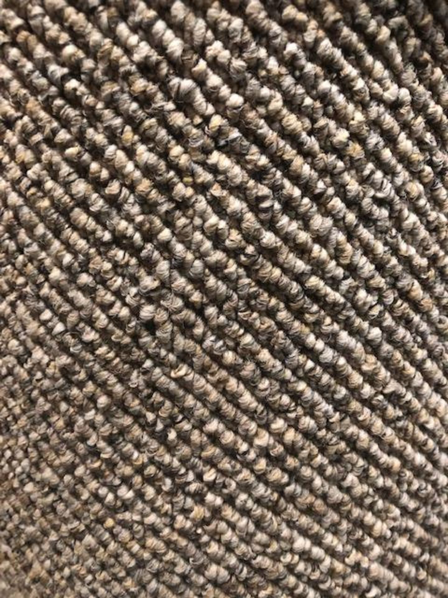 Mistral 4.6M X 4M (15Ft X 13Ft ) Polypropylene Loopcontract Feltback Carpet